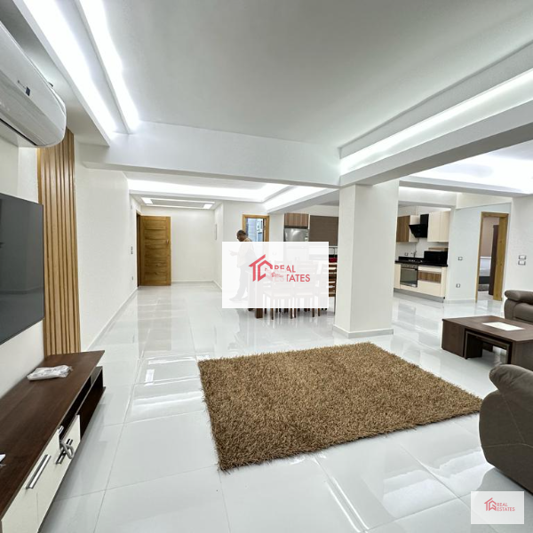 Modern Apartment Rent Maadi Sarayate walking Distenace to french school two bedrooms