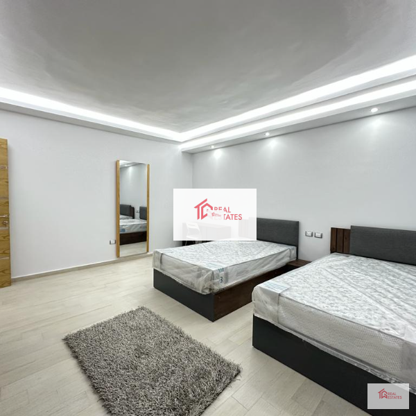 Modern Apartment Rent Maadi Sarayate walking Distenace to french school two bedrooms