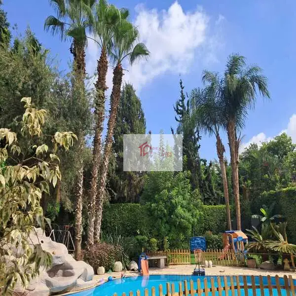 Semi or full furnished Duplex for rent katamya haights compound new cairo egypt